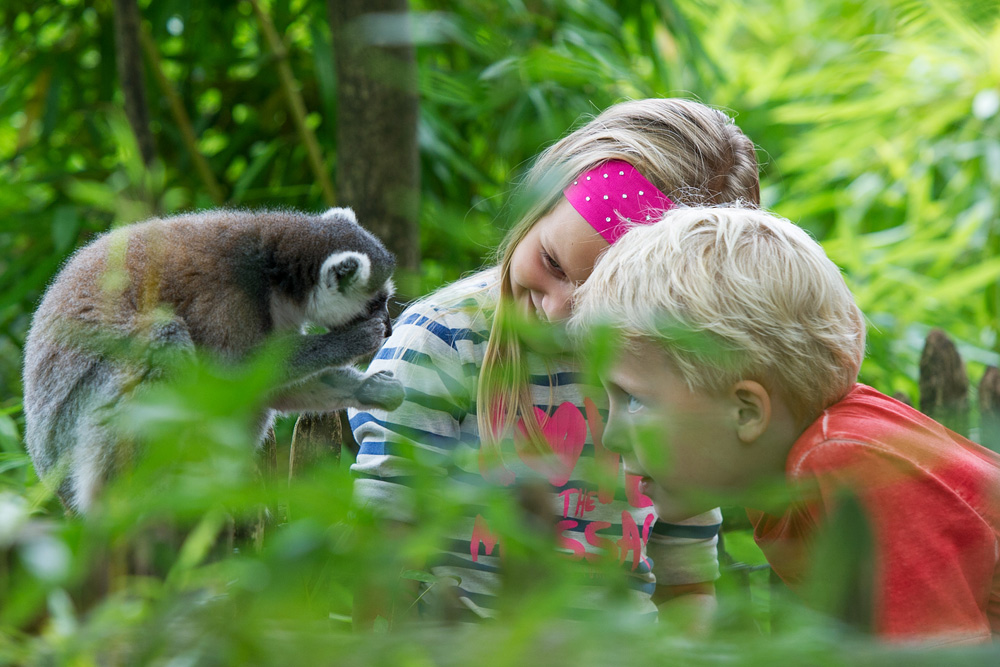 Gelderland met kinderen; 40x bezienswaardigheden & activiteiten - Reisliefde Gelderland met kinderen; 40x bezienswaardigheden & activiteiten - Reisliefde