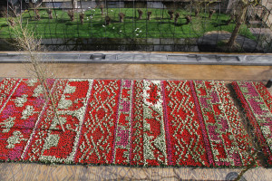 Een kleurig Tulpentapijt siert het Artisplein. Foto Artis, Ronald van Weeren