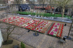 Het Tulpentapijt op het Artisplein staat in volle bloei. Foto Artis, Ronald van Weeren