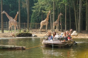 Grote Wildernis1 -amersfoort