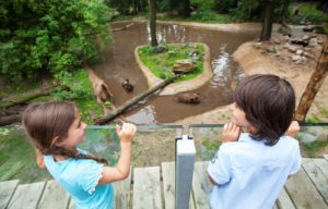 Fotografie: Ouwehands Dierenpark Rhenen