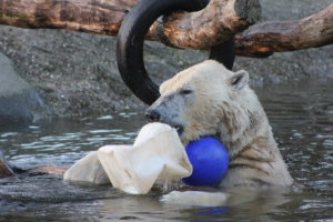 FOTO: Ouwehands Dierenpark