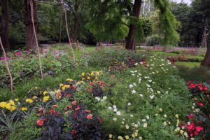 Eetbare tuin. Foto ARTIS, Sem Viersen (2)