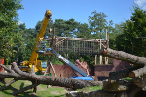 Foto: Safaripark Beekse Bergen